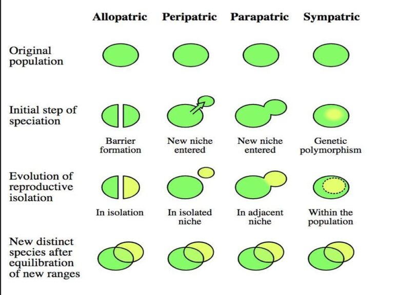 MODES OF SPECIATION