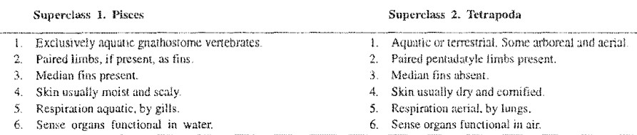 GENERAL ORGANISTION OF GNATHOSTOMATA