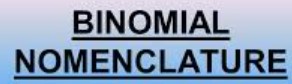 Read more about the article BINOMIAL SYSTEM OF NOMENCLATURE​