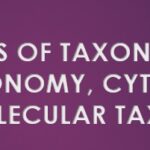 TYPES OF TAXONOMY​ - CHEMOTAXONOMY, CYTOTAXONOMY AND MOLECULAR TAXONOMY​