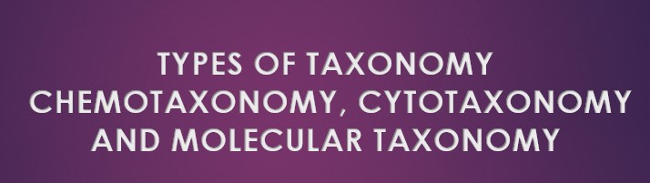 Read more about the article TYPES OF TAXONOMY​ – CHEMOTAXONOMY, CYTOTAXONOMY AND MOLECULAR TAXONOMY​