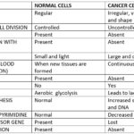 CANCER CELL VS NORMAL CELLS