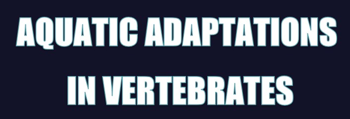 Read more about the article AQUATIC ADAPTATIONS IN VERTEBRATES