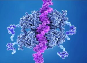 TUMOR SUPPRESSOR GENES