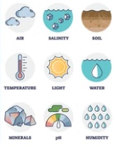 ABIOTIC FACTORS