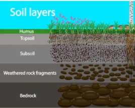 ABIOTIC FACTORS