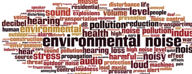 Read more about the article NOISE POLLUTION