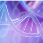 HIGHER ORDER CHROMATIN STRUCTURE