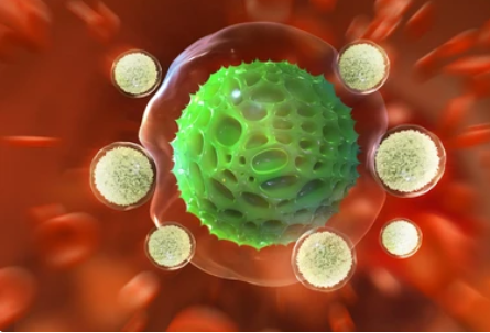 Read more about the article CELLS OF IMMUNE SYSTEM