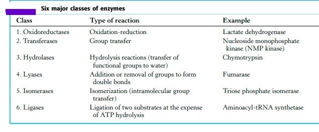 Read more about the article CLASSIFICATION OF ENZYMES AND ENZYME KINETIC