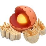 FUNCTIONS OF ENDOPLASMIC RETICULUM