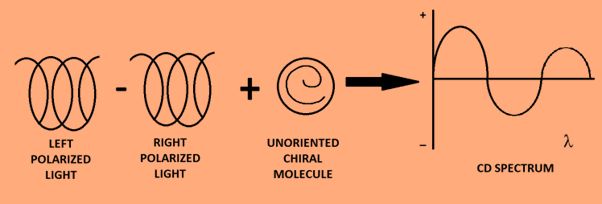 MOLECULAR ANALYSIS USING CIRCULAR DICHROISM SPECTROSCOPY