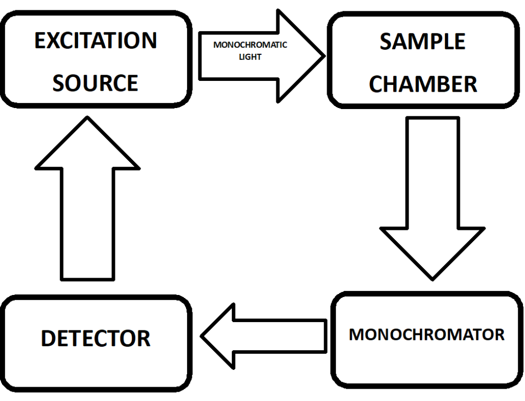 MOLECULAR ANALYSIS USING FLUORESCENCE SPECTROSCOPY