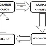 MOLECULAR ANALYSIS USING FLUORESCENCE SPECTROSCOPY