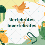 VERTEBRATES AND INVERTEBRATES