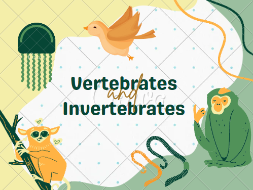 VERTEBRATES AND INVERTEBRATES