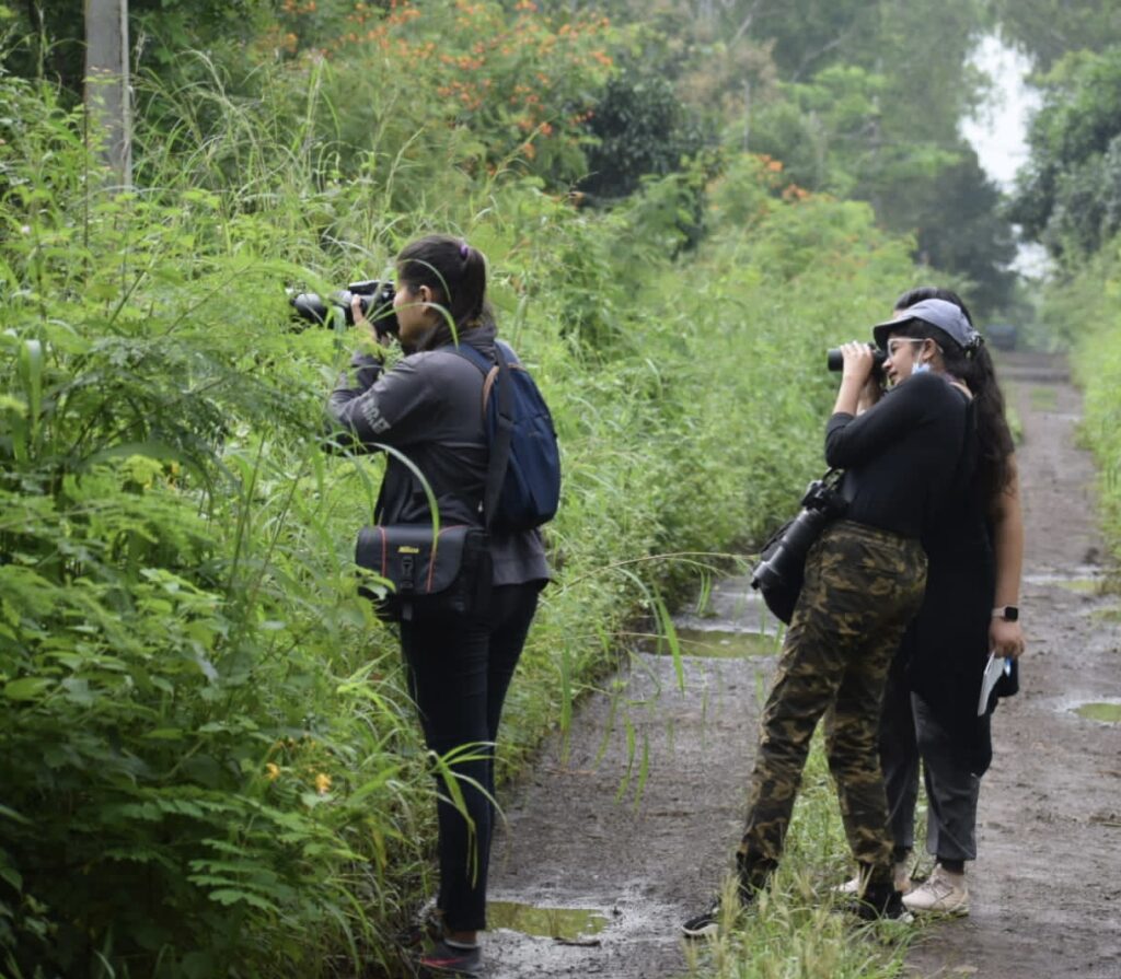 Birdwatching: A Symphony of Nature's Beauty and Wonder