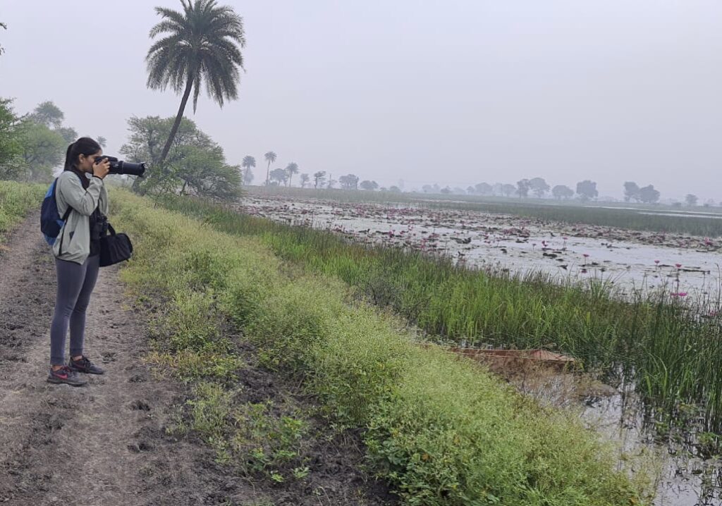 Birdwatching: A Symphony of Nature's Beauty and Wonder