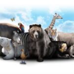 Endangered Mammals: Conservation Challenges