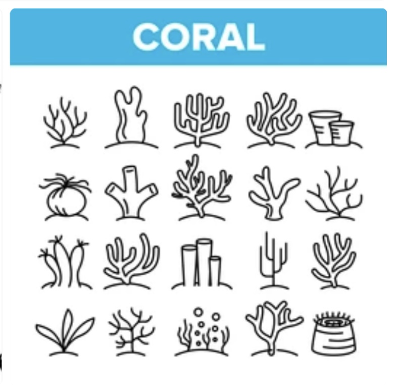 Biodiversity of Coral Reefs