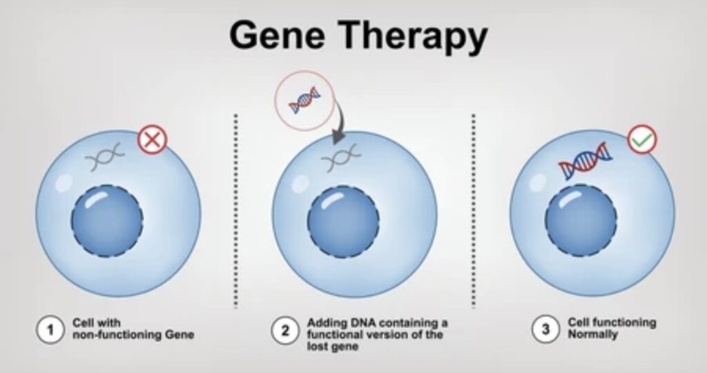 GENE AND CELL THERAPY