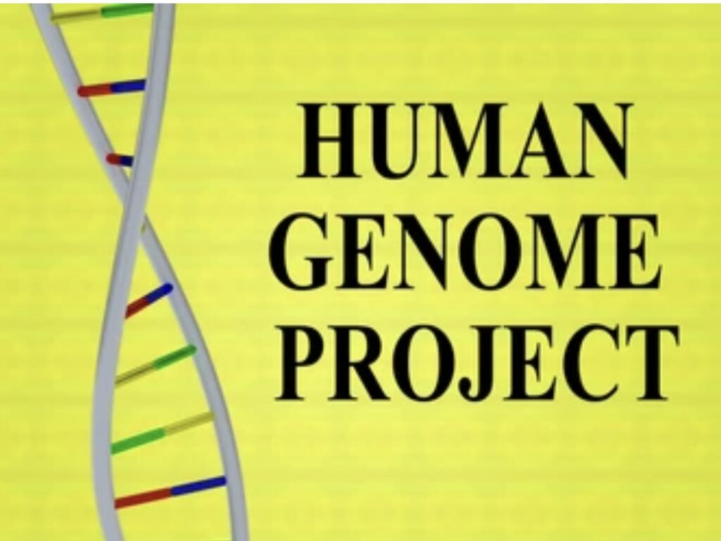 THE HUMAN GENOME PROJECT 