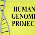 THE HUMAN GENOME PROJECT