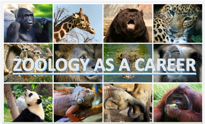 Zoology as a Career : Opportunities, Specializations, and Pathways