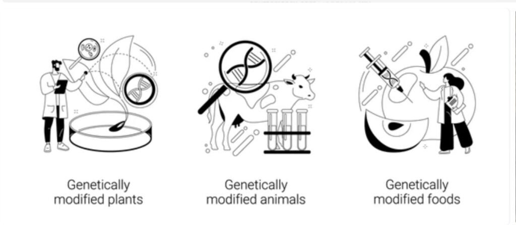 ANIMAL GENETICS