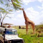 WHAT IS A WILDLIFE SAFARI AND THEIR IMPORTANCE