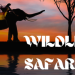 WHAT IS A WILDLIFE SAFARI AND THEIR IMPORTANCE