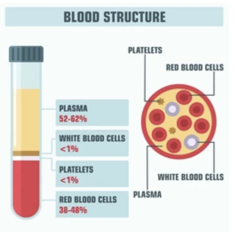 BLOOD AND ITS COMPONENTS