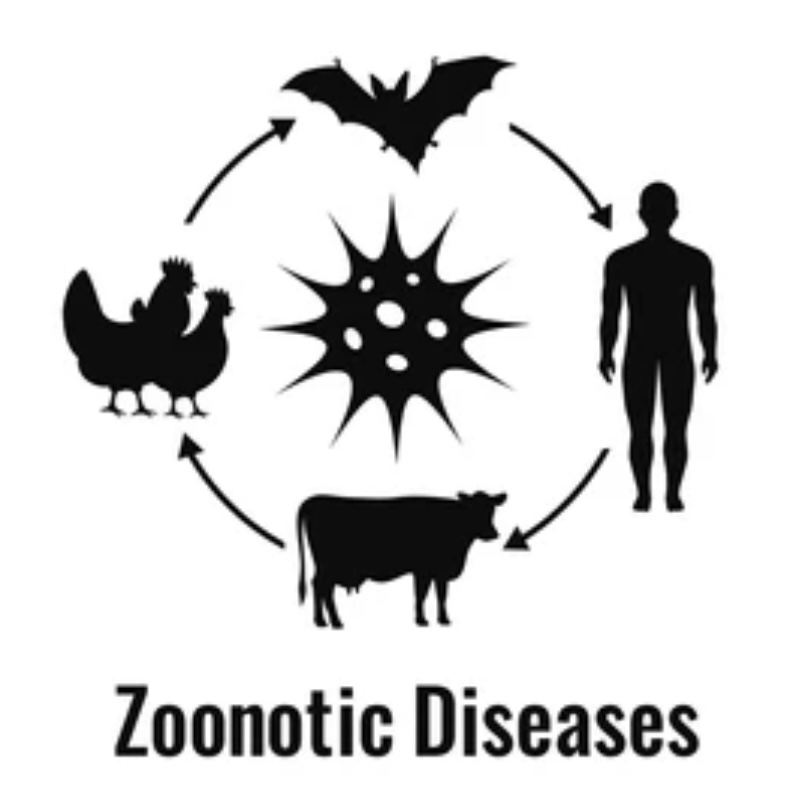 COMMON ZOONOTIC DISEASES