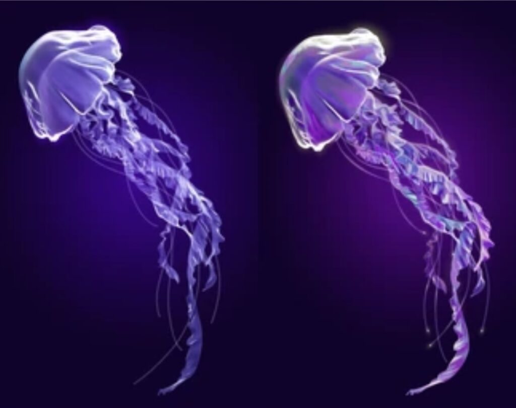 ANATOMY AND PHYSIOLOGY OF JELLYFISH