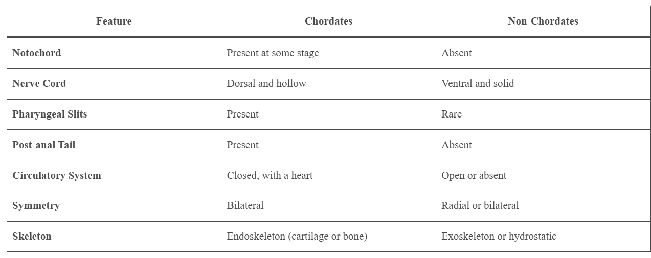 Read more about the article DIFFERENCE BETWEEN CHORDATES AND NON CHORDATES