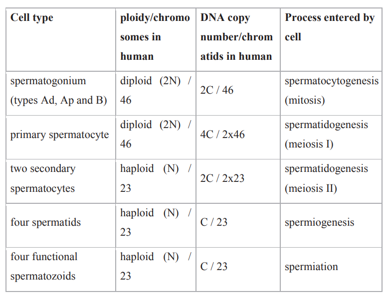 GAMETOGENESIS | SPERMATOGENESIS | OOGENESIS