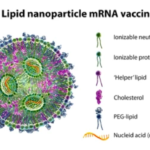 NANOPARTICLES