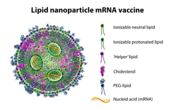 Read more about the article NANOPARTICLES