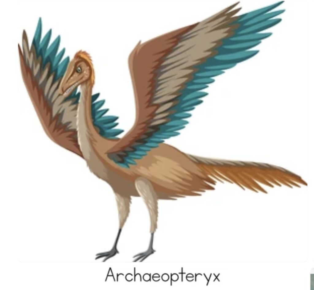 ARCHAEOPTERYX