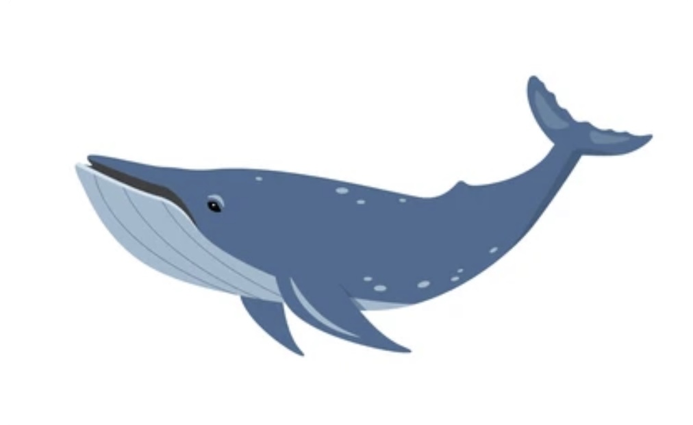 BLUE WHALE