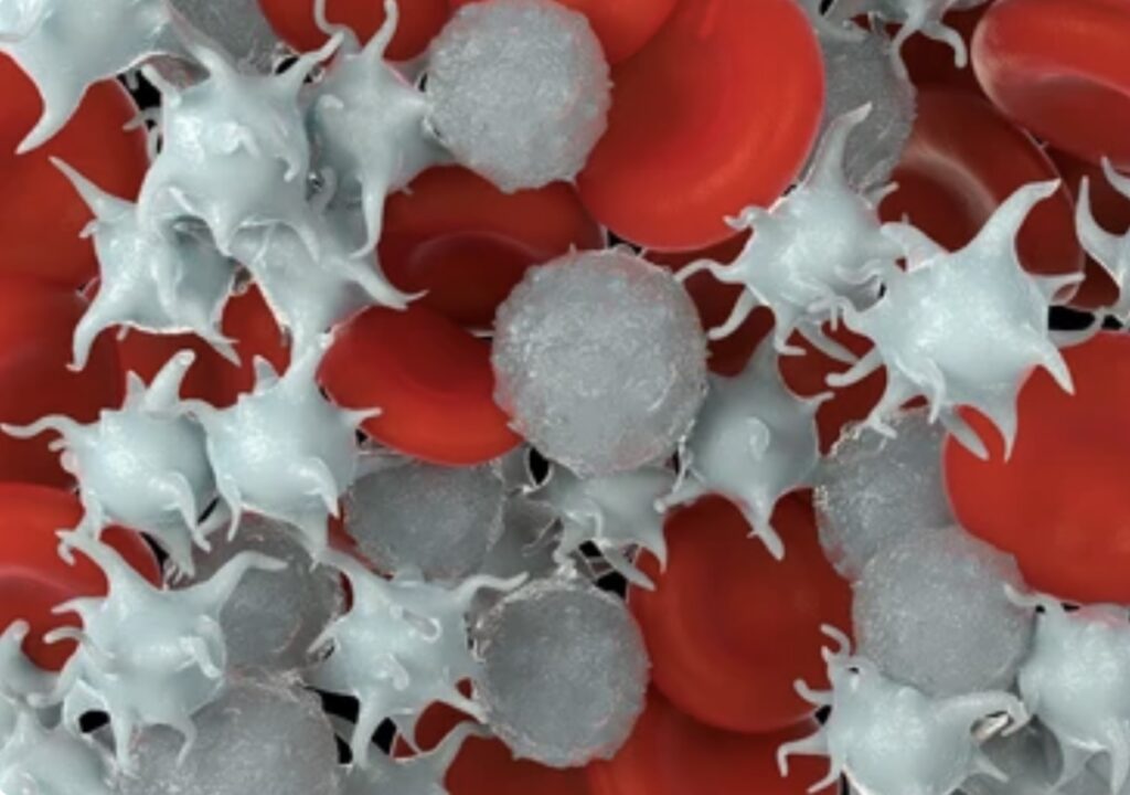 WHAT ARE BLOOD PLATELETS