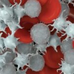 WHAT ARE BLOOD PLATELETS